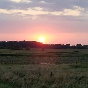 Meet your Posher, Miranda